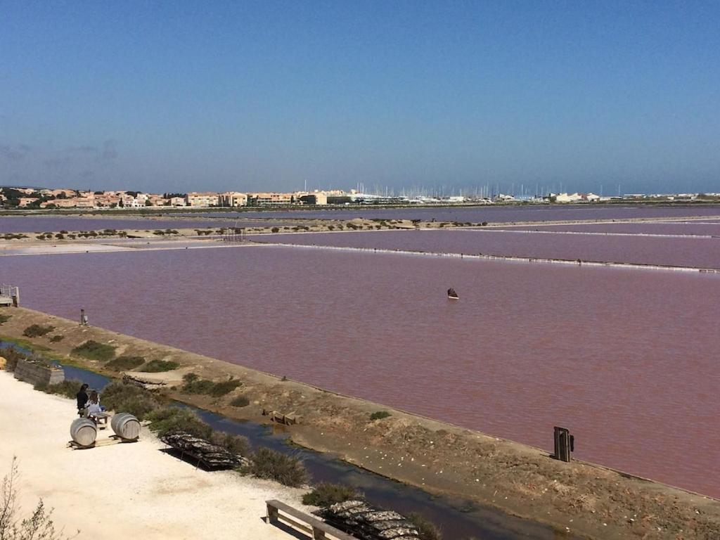 Gruissan Appartement Calme, Vue Sur Port De Plaisance -Clim, Empl.Parking 외부 사진