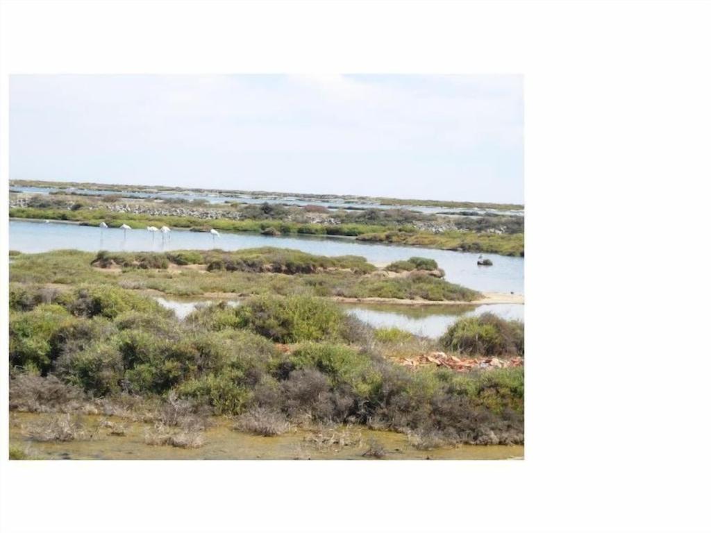 Gruissan Appartement Calme, Vue Sur Port De Plaisance -Clim, Empl.Parking 외부 사진