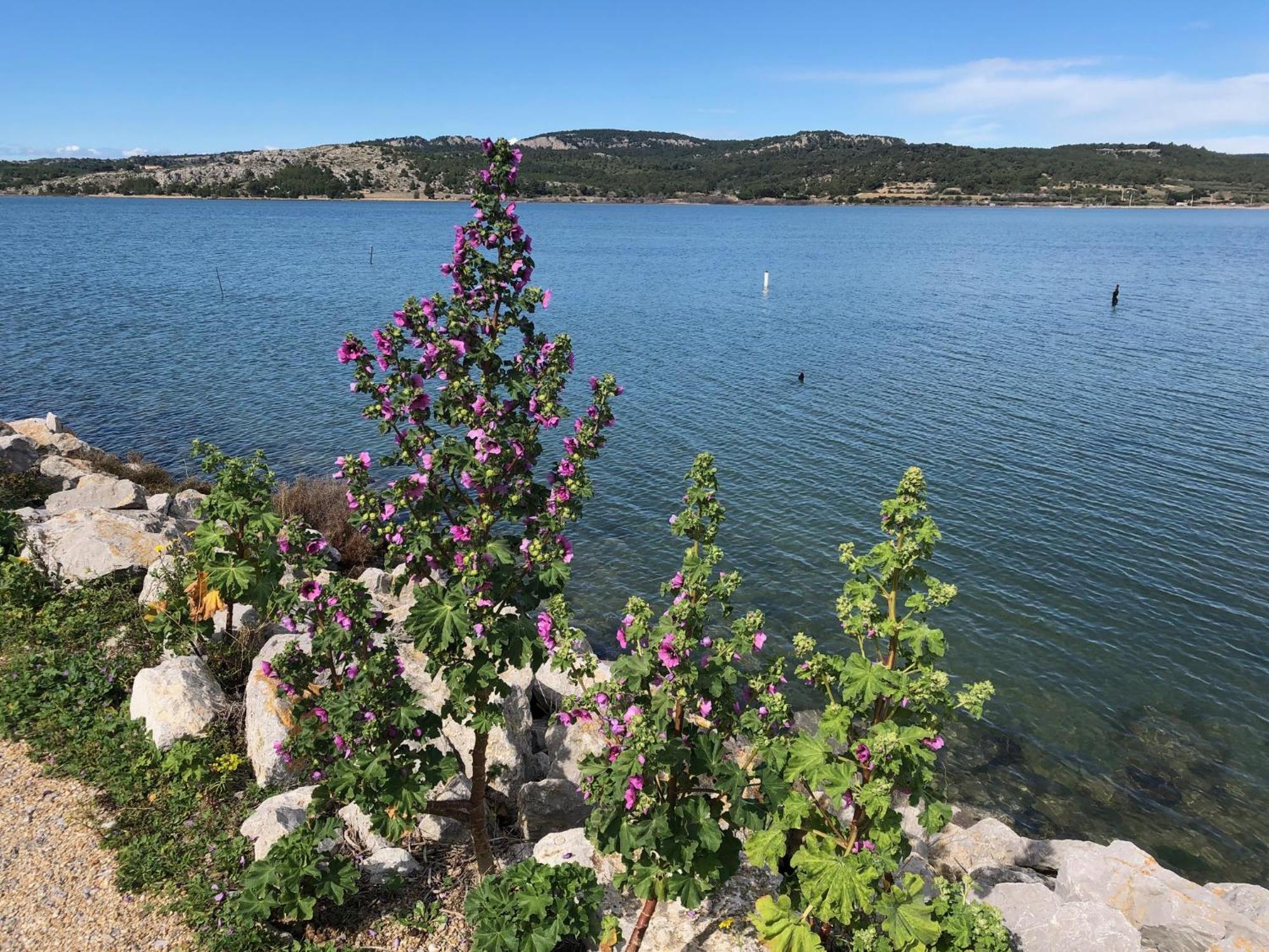 Gruissan Appartement Calme, Vue Sur Port De Plaisance -Clim, Empl.Parking 외부 사진