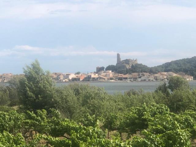 Gruissan Appartement Calme, Vue Sur Port De Plaisance -Clim, Empl.Parking 외부 사진