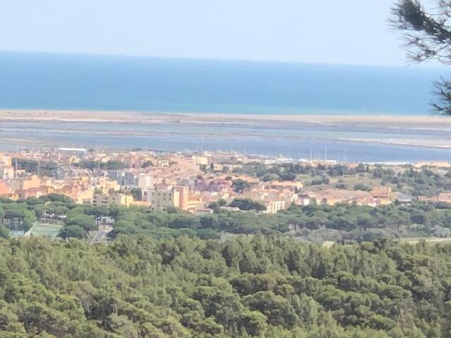 Gruissan Appartement Calme, Vue Sur Port De Plaisance -Clim, Empl.Parking 외부 사진